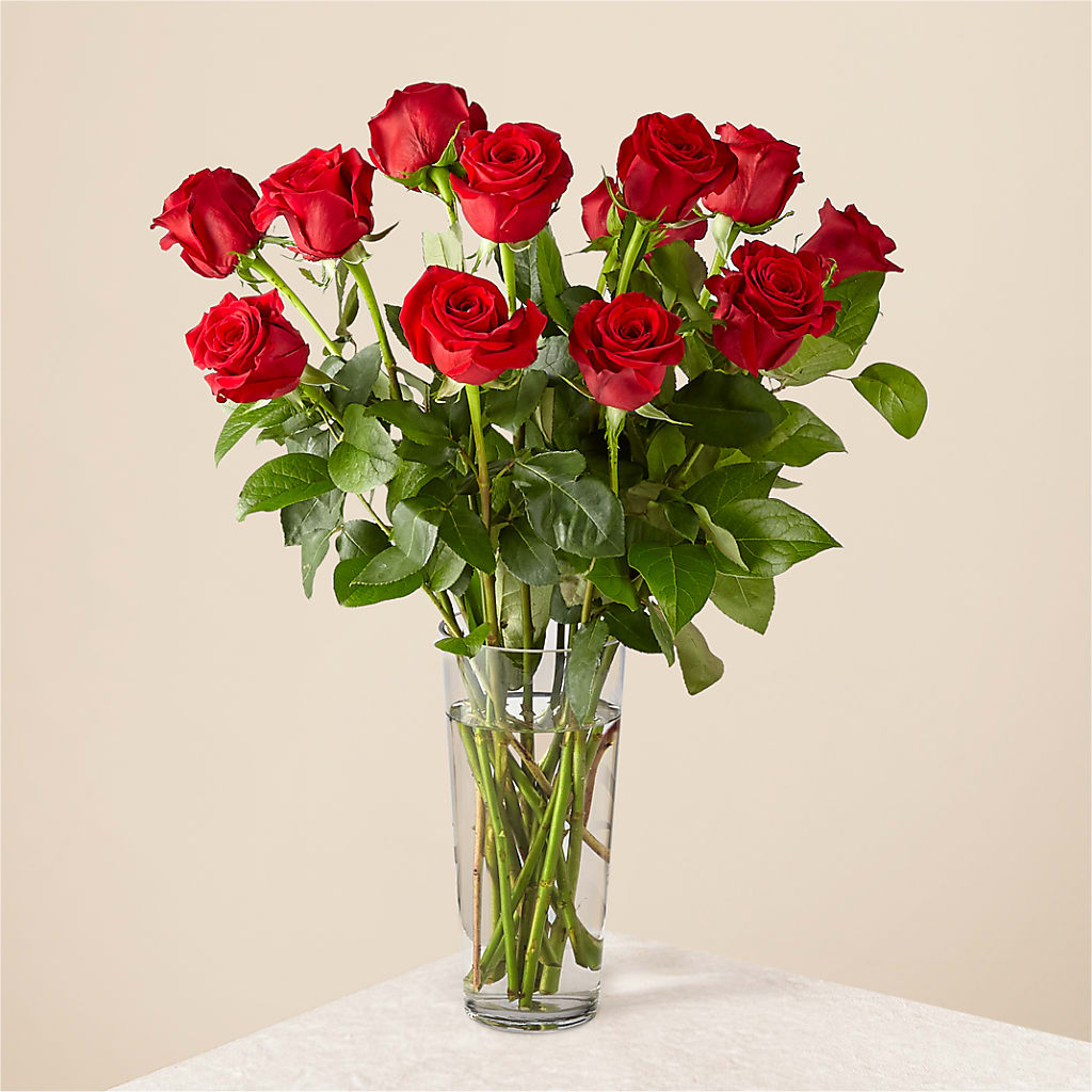 Long Stem Red Rose Bouquet – Sb Floral Too, Davenport IA