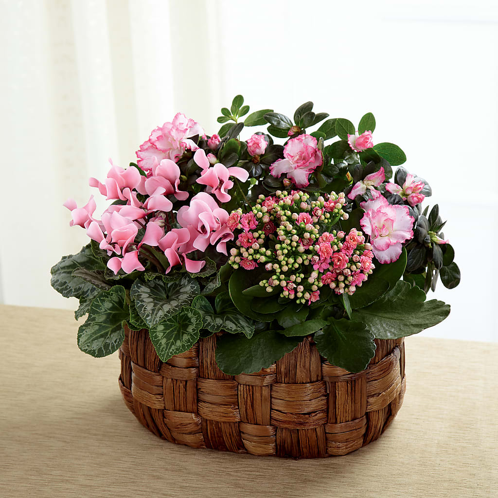 Pink Assortment – Sb Floral Too, Davenport IA