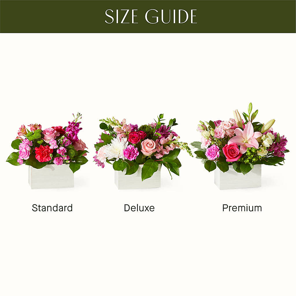 Sweetberry Box – A Florist Original – Sb Floral Too, Davenport IA