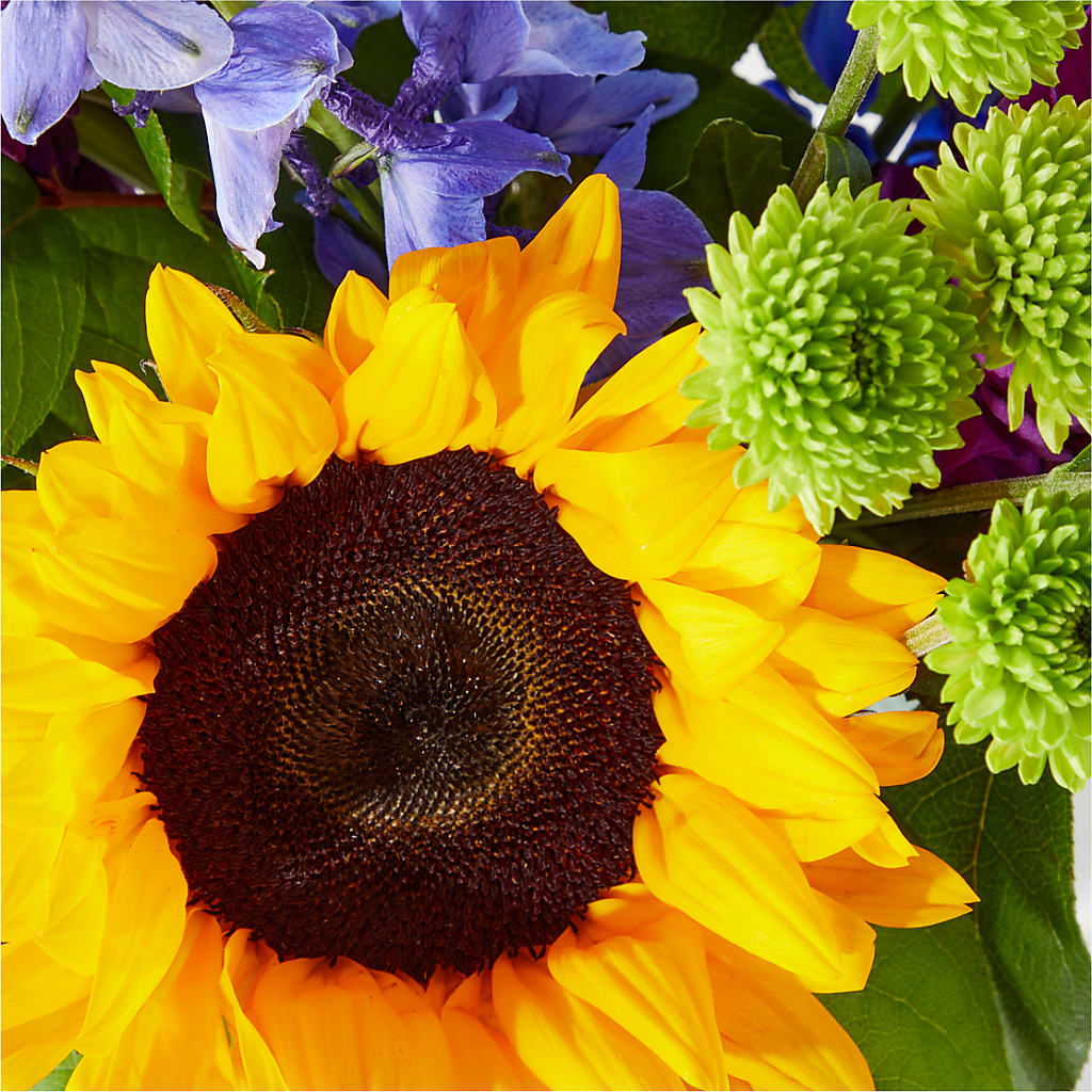 Catching Rays Bouquet – Sb Floral Too, Davenport IA