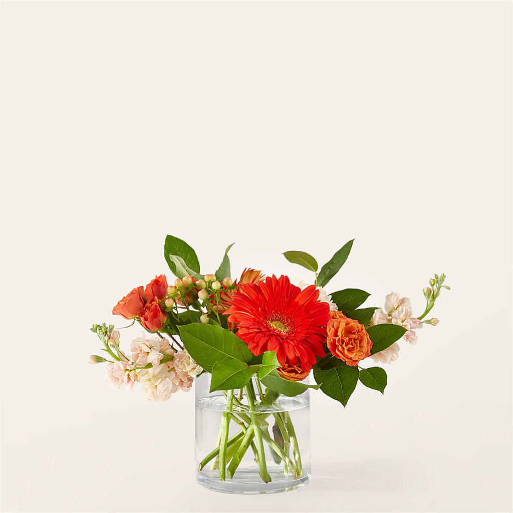 Paloma Please Bouquet – Sb Floral Too, Davenport IA