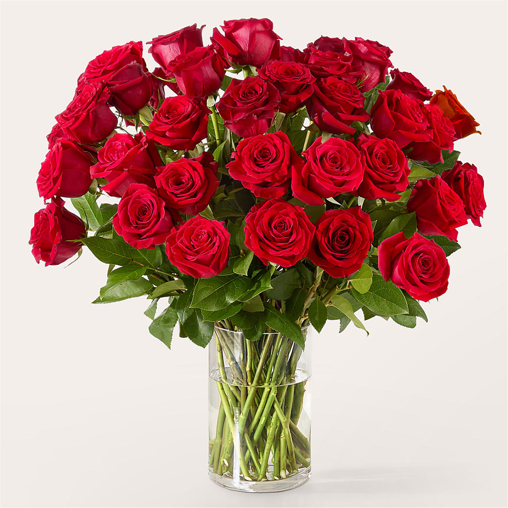 The One Red Rose Bouquet – Sb Floral Too, Davenport IA