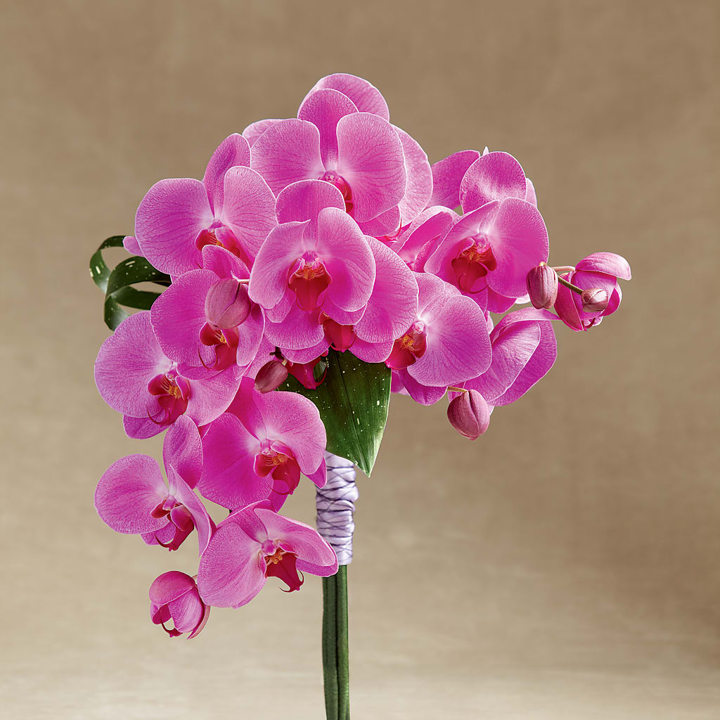 Glorious Bouquet – Sb Floral Too, Davenport IA