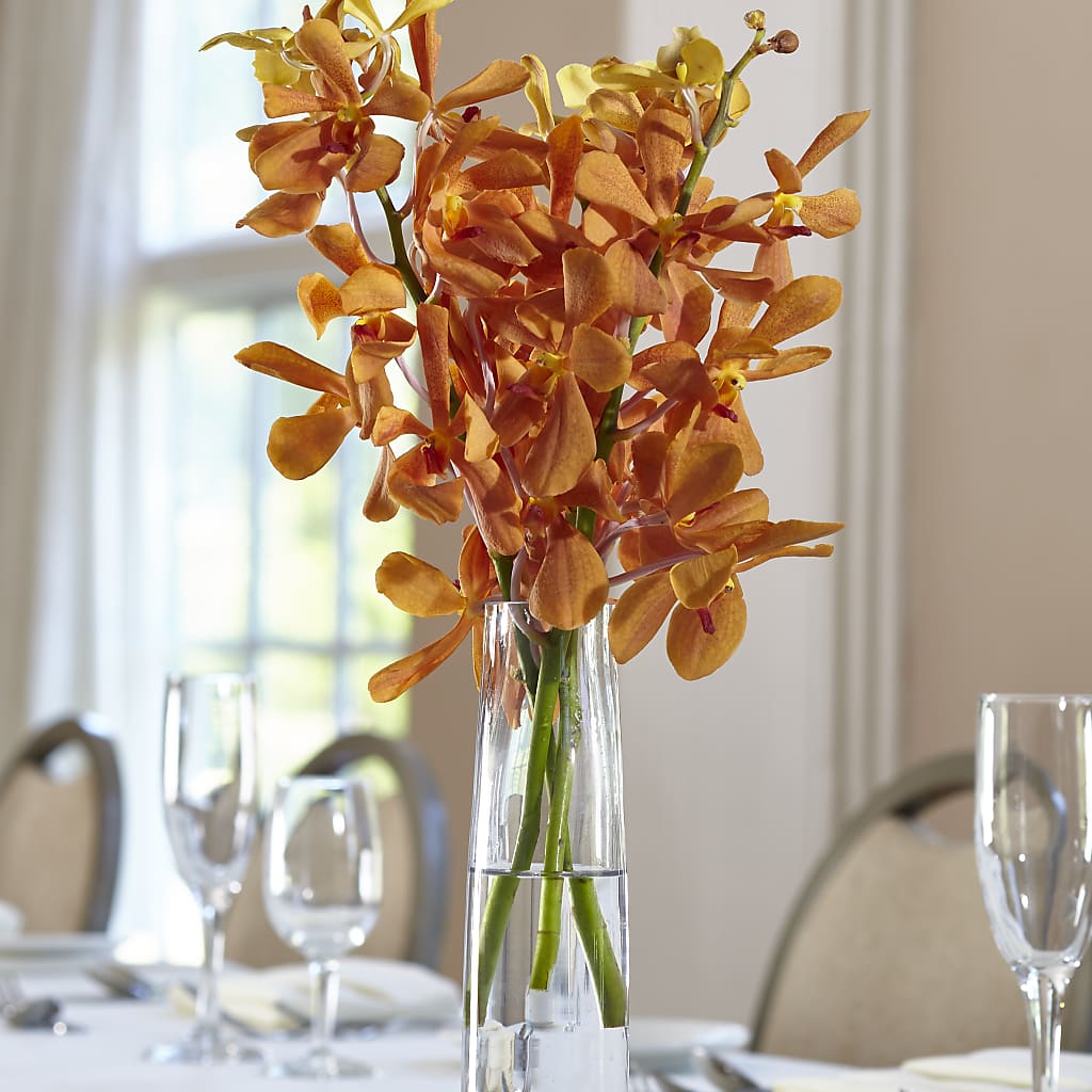 Orange Mokara Bud Vase – Sb Floral Too, Davenport IA