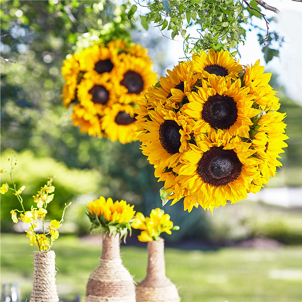 Sublime Garden Hanging Arrangement – Sb Floral Too, Davenport IA