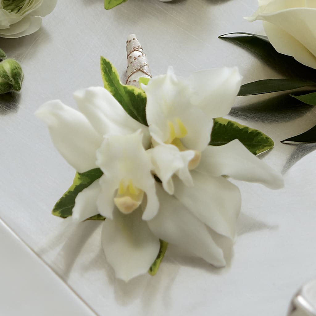 White Mini Cymbidium Boutonniere – Sb Floral Too, Davenport IA