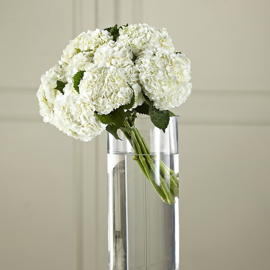 White Hydrangea Hand-Tied Bouquet – Sb Floral Too, Davenport IA