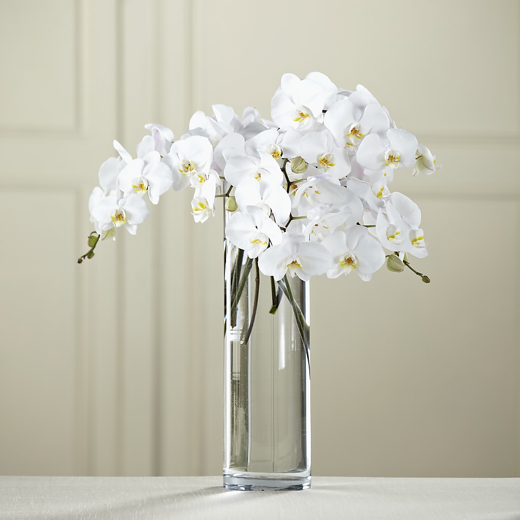 White Phalaenopsis Bouquet – Sb Floral Too, Davenport IA