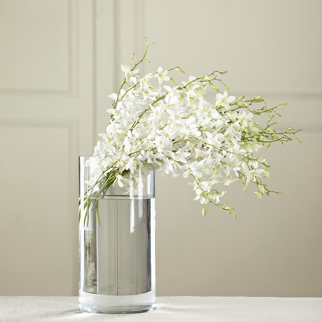 White Dendrobium Bouquet – Sb Floral Too, Davenport IA