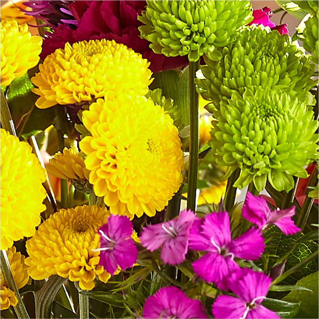 Bold & Bright – A Florist Original –  Sb Floral Too, Davenport IA