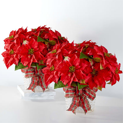 Happiest Holidays Poinsettia Bundle –  Sb Floral Too, Davenport IA