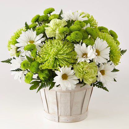 Lucky Charm Basket (Standard) –  Sb Floral Too, Davenport IA