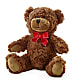 Adorable Plush Bear –  Sb Floral Too, Davenport IA