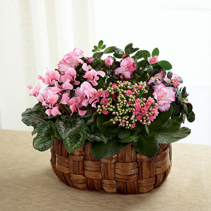 Pink Assortment –  Sb Floral Too, Davenport IA