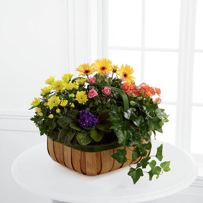 Gentle Blossoms Basket –  Sb Floral Too, Davenport IA