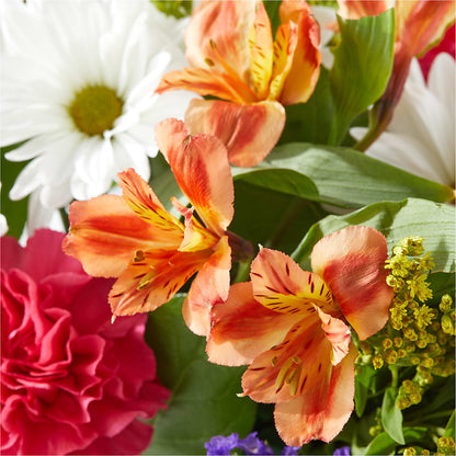 Oopsie Daisy Box Bouquet –  Sb Floral Too, Davenport IA