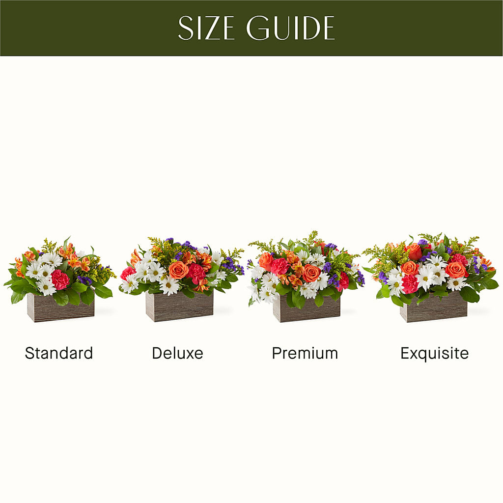 Oopsie Daisy Box Bouquet –  Sb Floral Too, Davenport IA