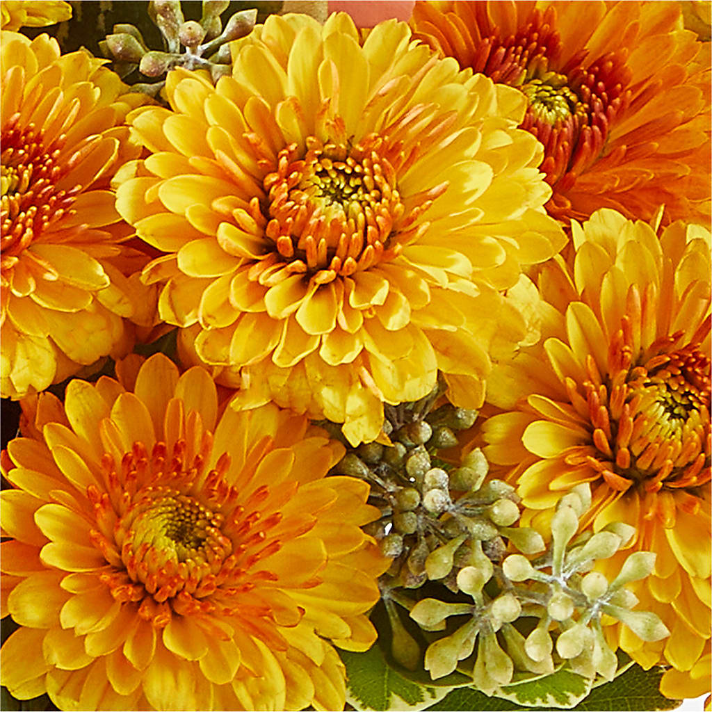 Peachy Pumpkin –  Sb Floral Too, Davenport IA
