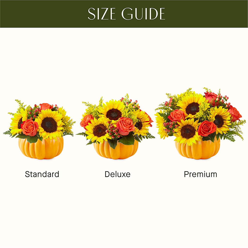 Pick of the Patch Pumpkin Bouquet –  Sb Floral Too, Davenport IA