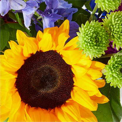 Catching Rays Bouquet –  Sb Floral Too, Davenport IA