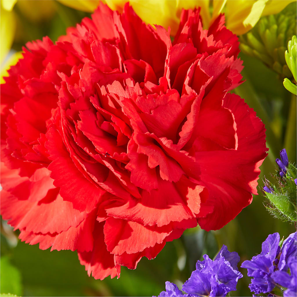 Brighter Days Bouquet –  Sb Floral Too, Davenport IA