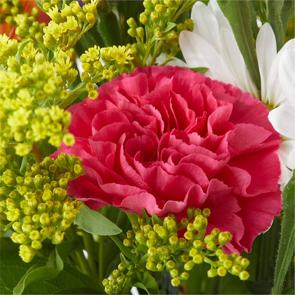 Oopsie Daisy Bouquet –  Sb Floral Too, Davenport IA