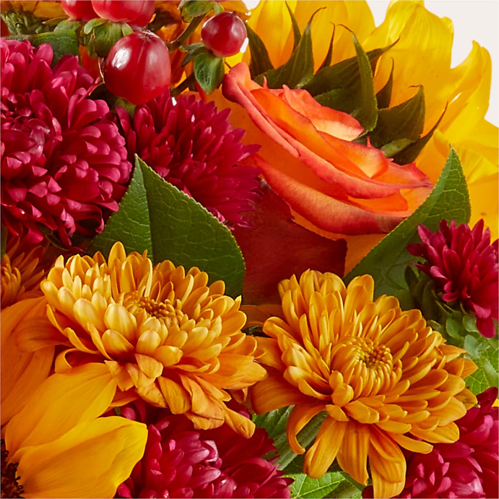 Sweater Season - A Florist Original –  Sb Floral Too, Davenport IA