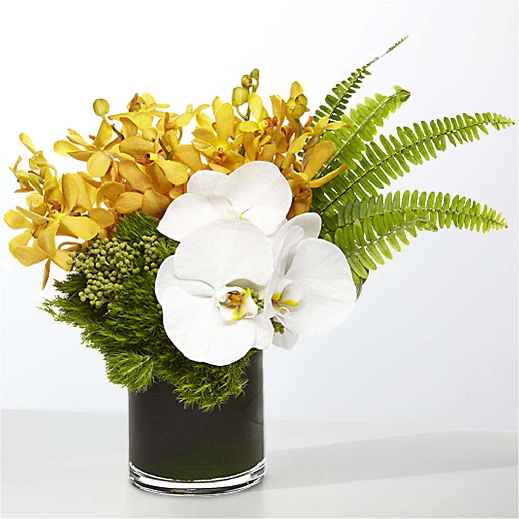The Tropics –  Sb Floral Too, Davenport IA