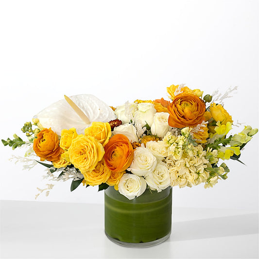 The Optimist –  Sb Floral Too, Davenport IA