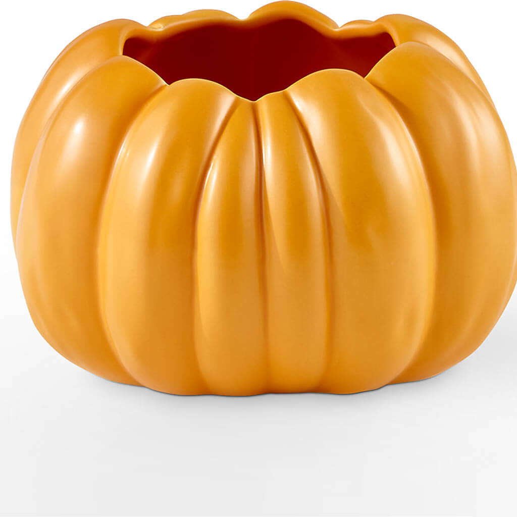 Pick of the Patch Pumpkin Bouquet –  Sb Floral Too, Davenport IA