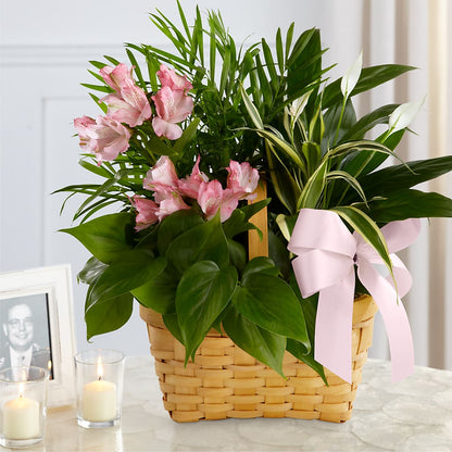 Living Spirit Dishgarden –  Sb Floral Too, Davenport IA