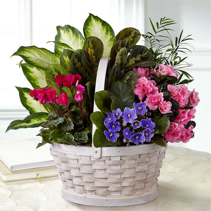Peaceful Garden Planter –  Sb Floral Too, Davenport IA