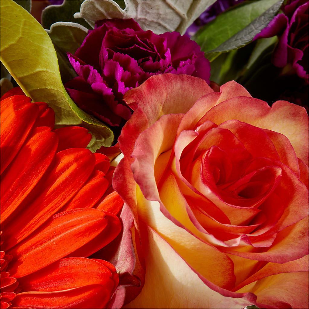 Sangria Bouquet –  Sb Floral Too, Davenport IA