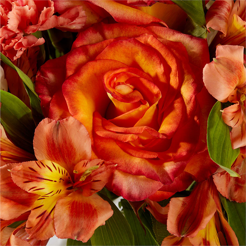 Apricot Glow Bouquet –  Sb Floral Too, Davenport IA
