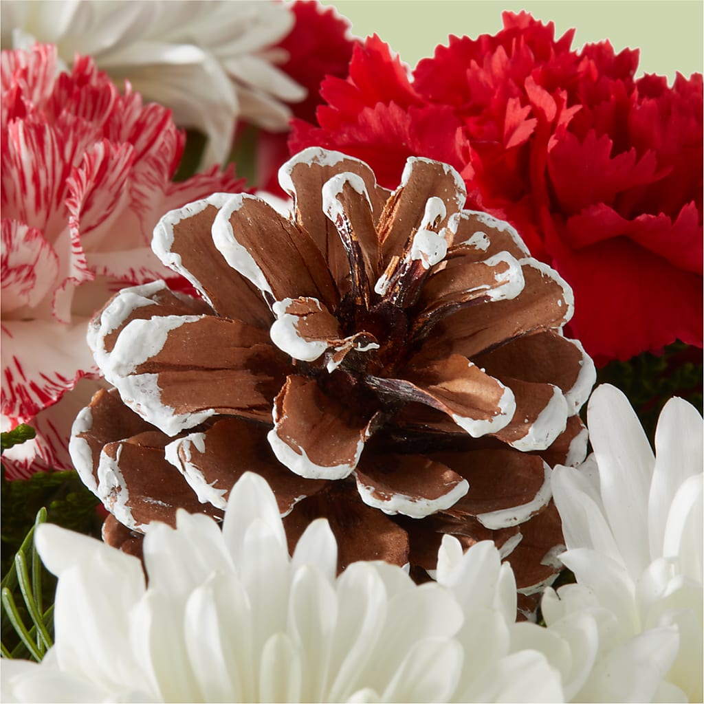 Candy Cane Lane Bouquet –  Sb Floral Too, Davenport IA