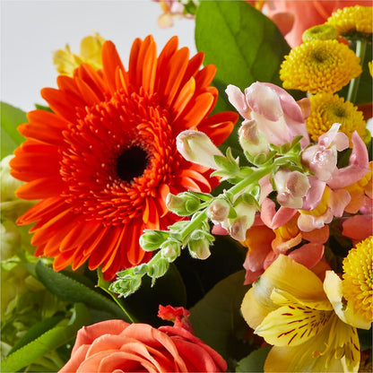 Autumn Sunshine Bouquet –  Sb Floral Too, Davenport IA