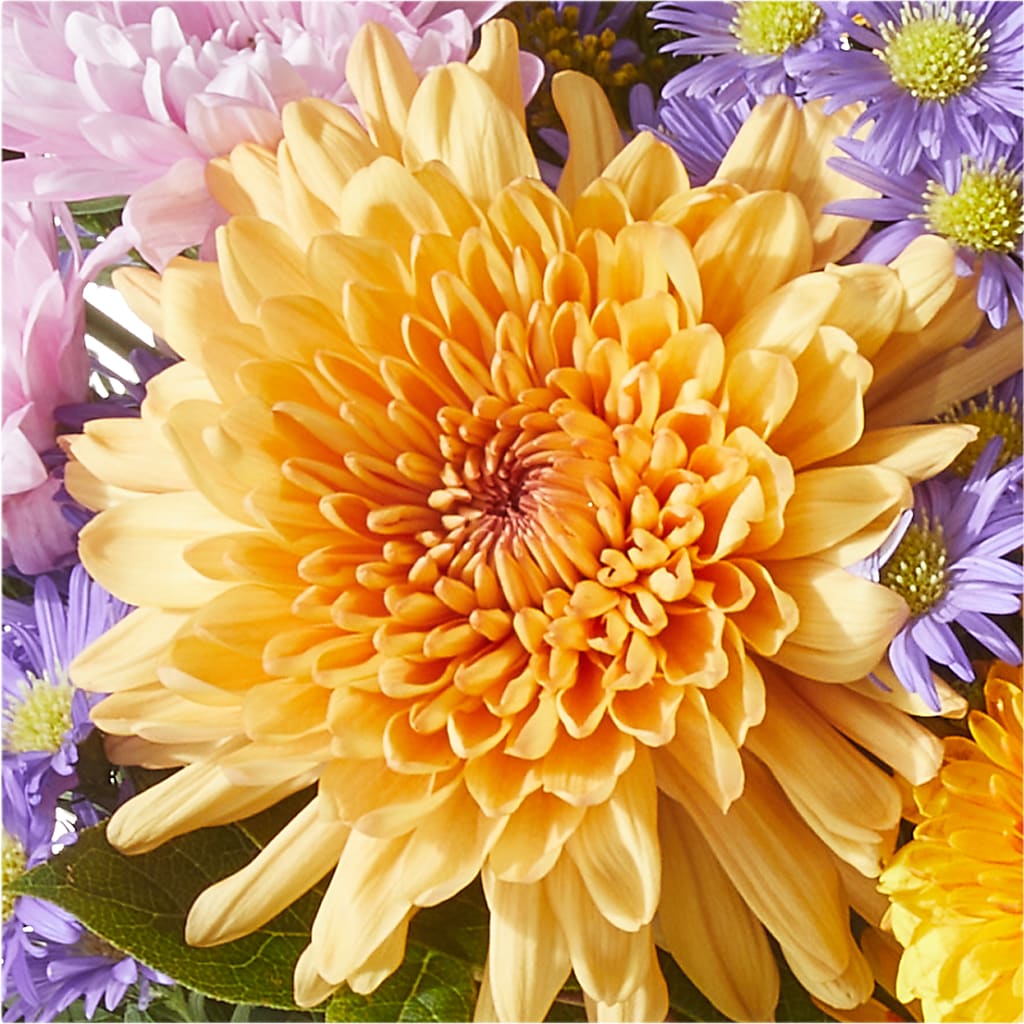 Countryside Bouquet –  Sb Floral Too, Davenport IA