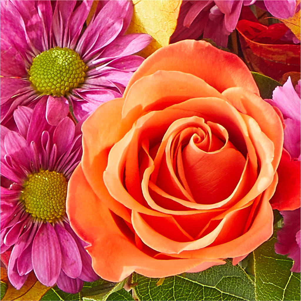 Mum's the Word Bouquet –  Sb Floral Too, Davenport IA