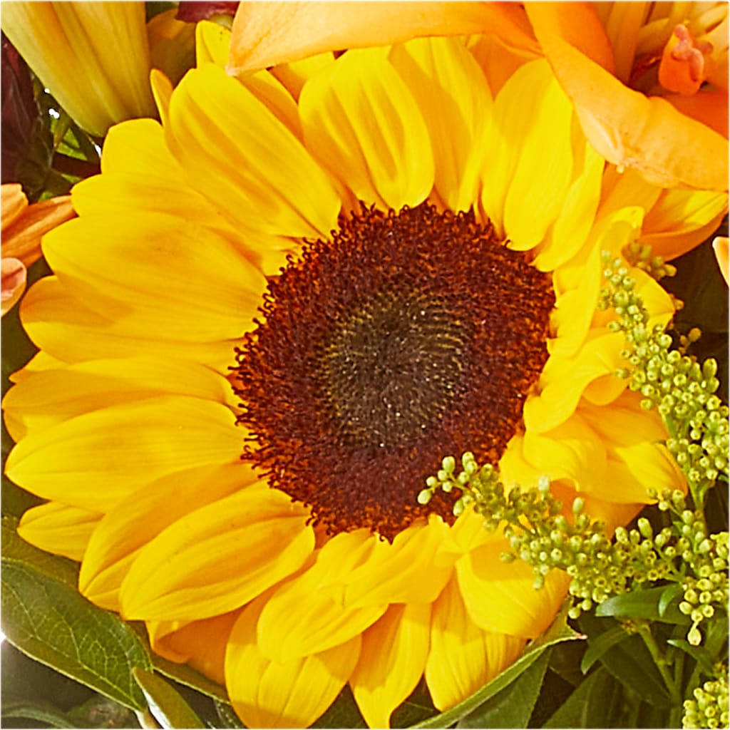 Seasons Change Bouquet –  Sb Floral Too, Davenport IA