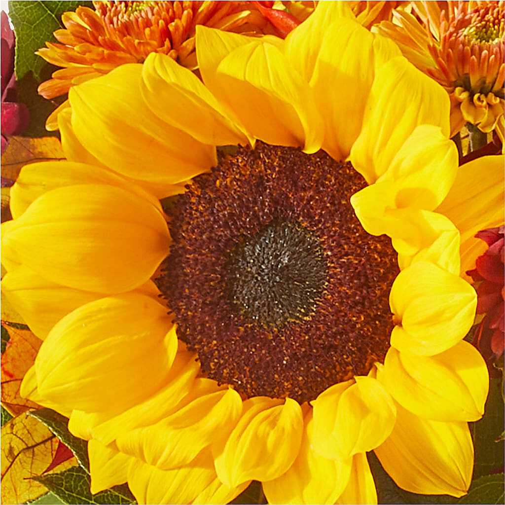 Sunny Side Bouquet –  Sb Floral Too, Davenport IA