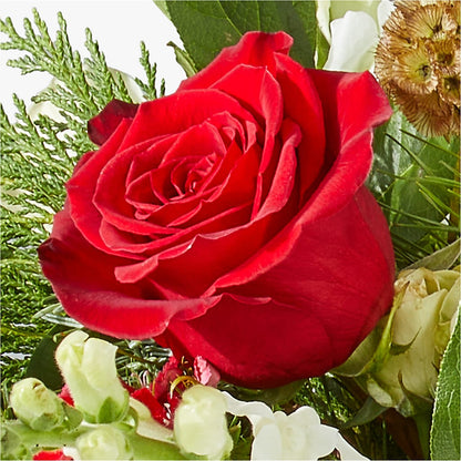 Deck the Halls Bouquet –  Sb Floral Too, Davenport IA