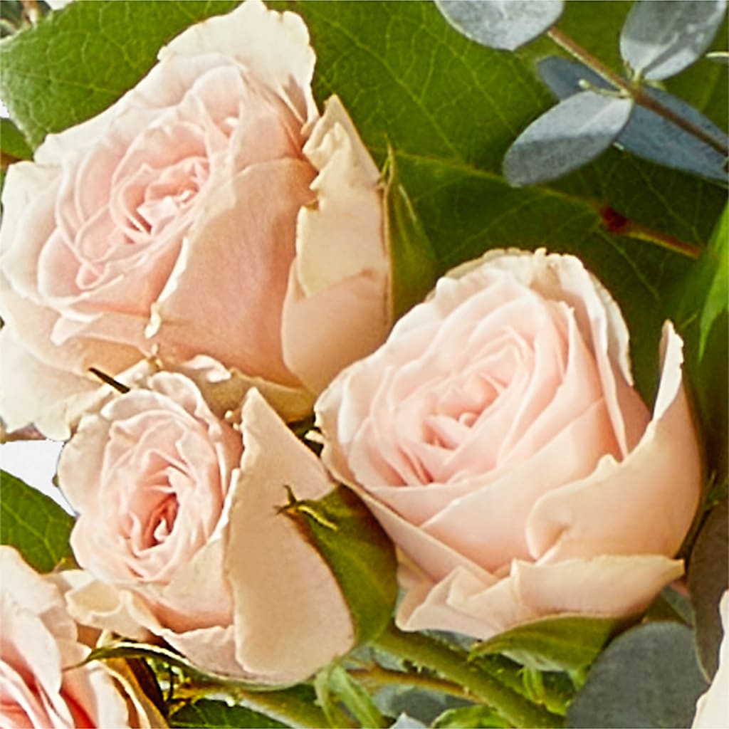 Inspired Bouquet –  Sb Floral Too, Davenport IA