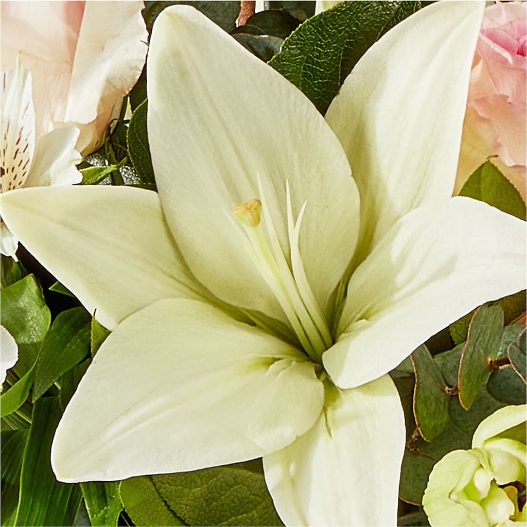 Ballet Slippers Bouquet –  Sb Floral Too, Davenport IA