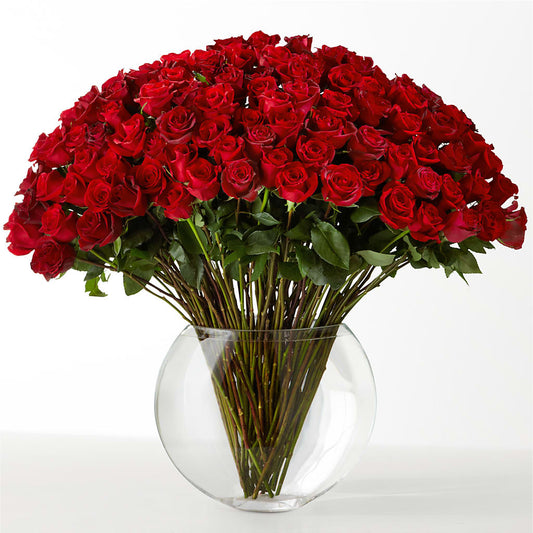 The Idealist –  Sb Floral Too, Davenport IA