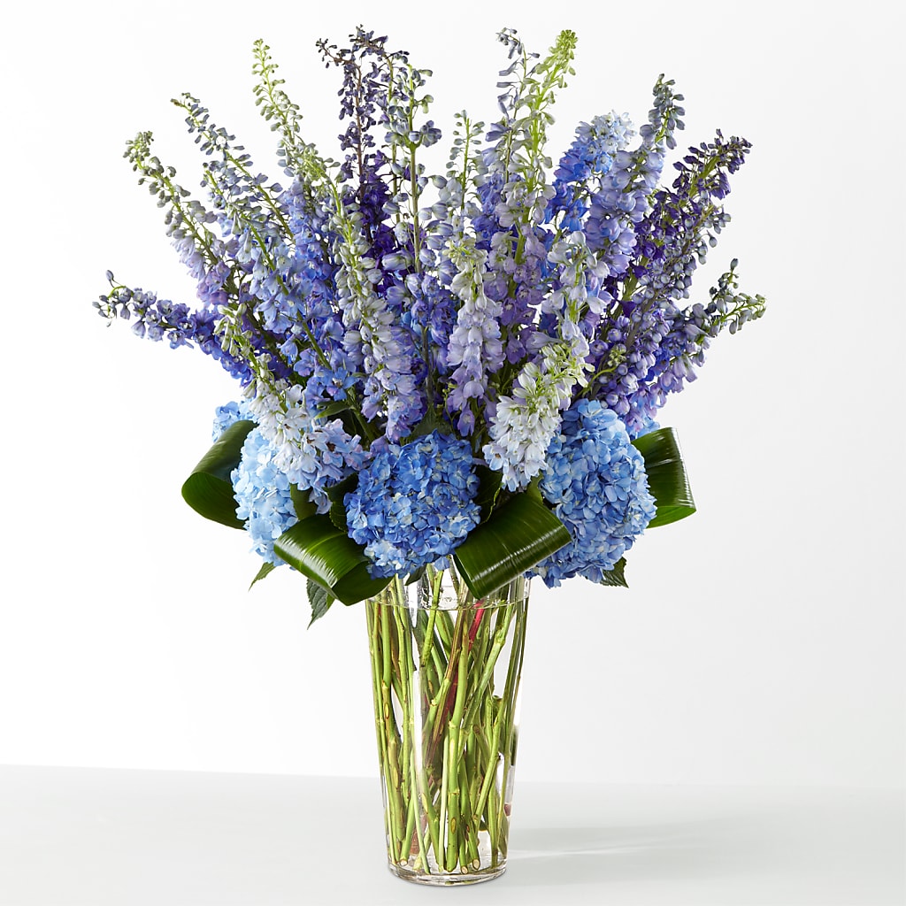 The Editorial –  Sb Floral Too, Davenport IA
