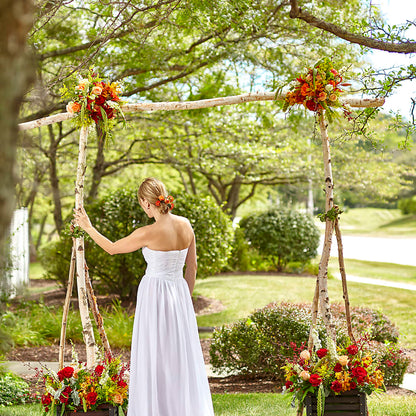 Arbor of Love Archway –  Sb Floral Too, Davenport IA