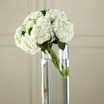 White Hydrangea Hand-Tied Bouquet –  Sb Floral Too, Davenport IA