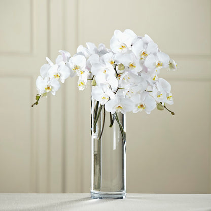 White Phalaenopsis Bouquet –  Sb Floral Too, Davenport IA