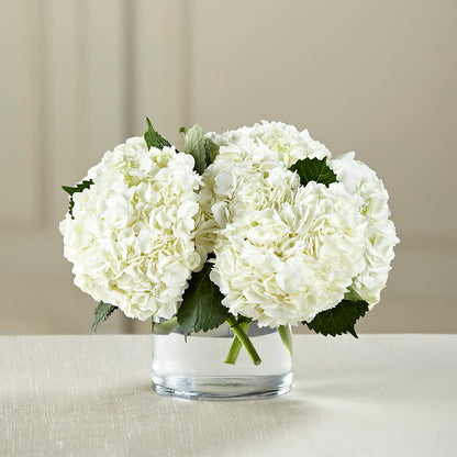 White Hydrangea Bouquet –  Sb Floral Too, Davenport IA